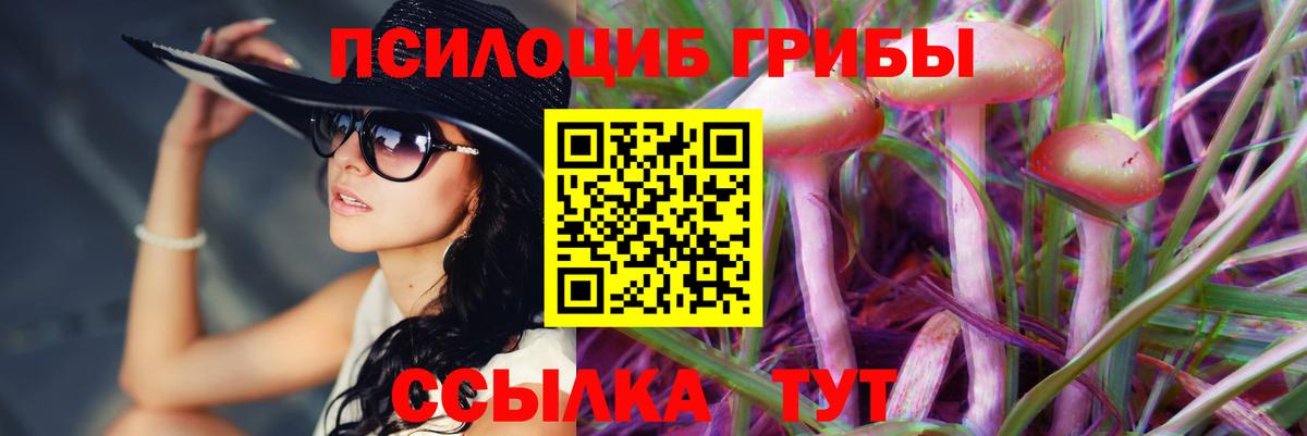 Галлюциногенные грибы Cubensis Ивантеевка